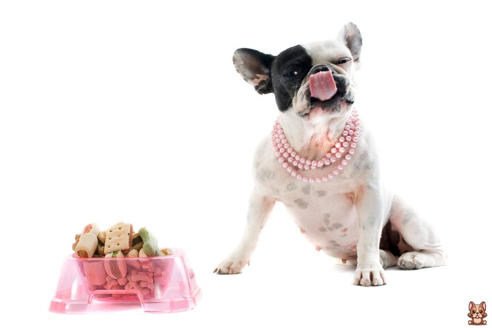 All About Grain-Free Diets for French Bulldogs