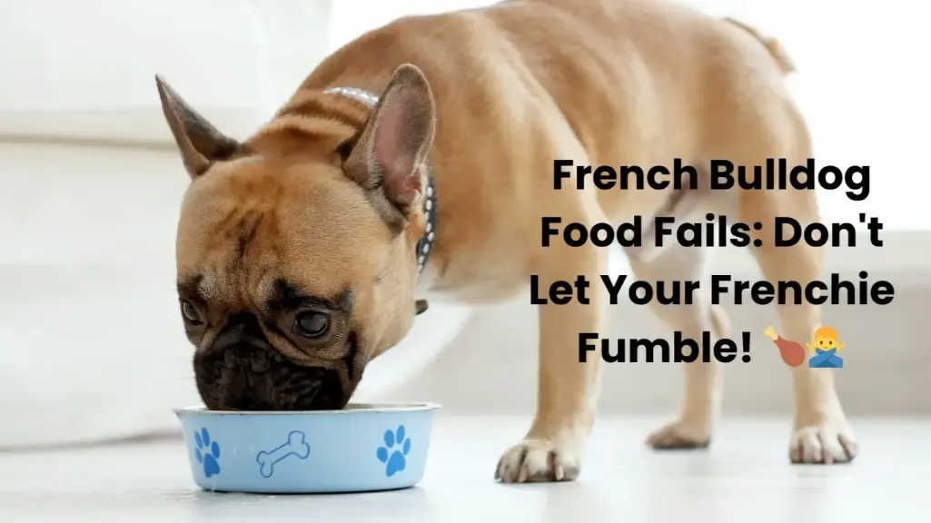 French Bulldog Food Fails: Don't Let Your Frenchie Fumble! 🍗🙅‍♂️